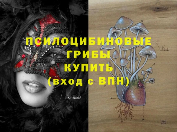 гидропоника Арсеньев